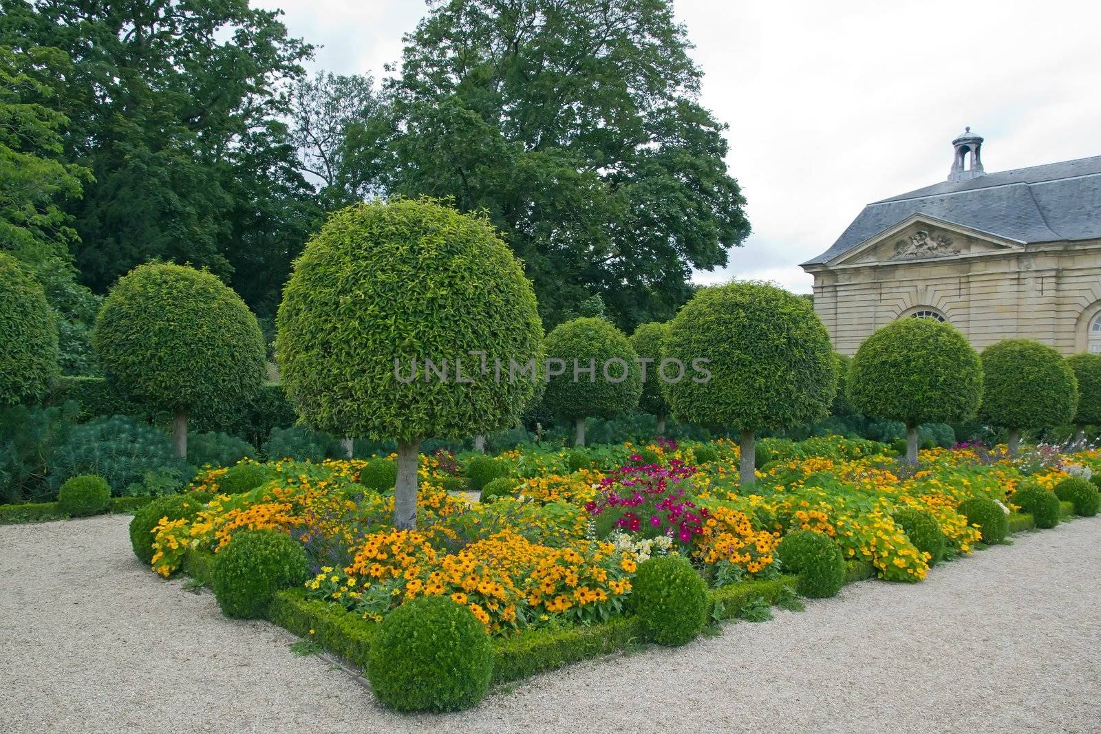 Formal garden, flowers and box tree cut  France by neko92vl