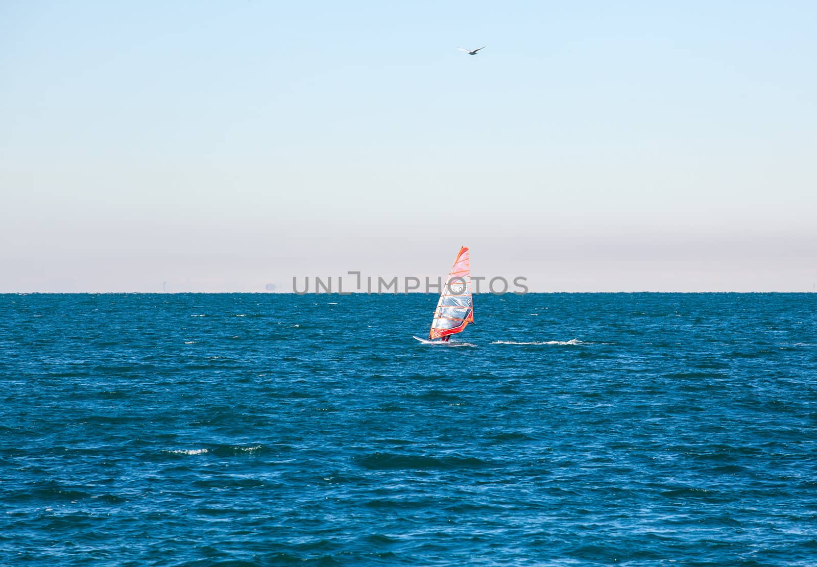 View of a Windsurfer in the Trieste sea