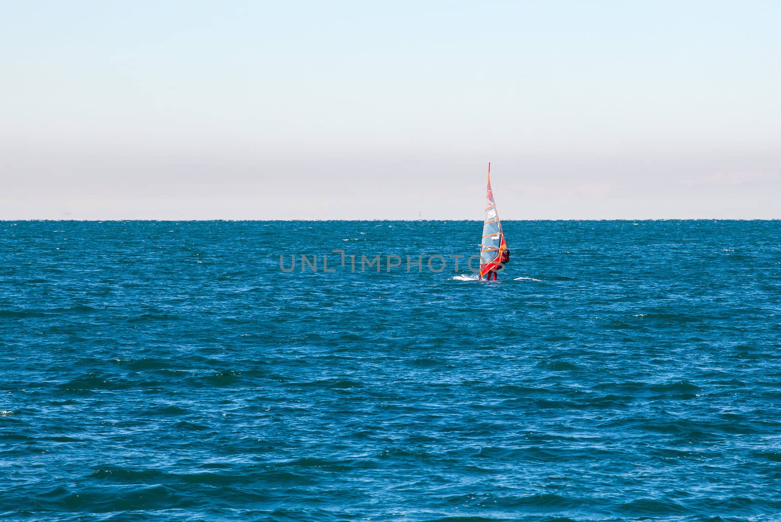 View of a Windsurfer in the Trieste sea