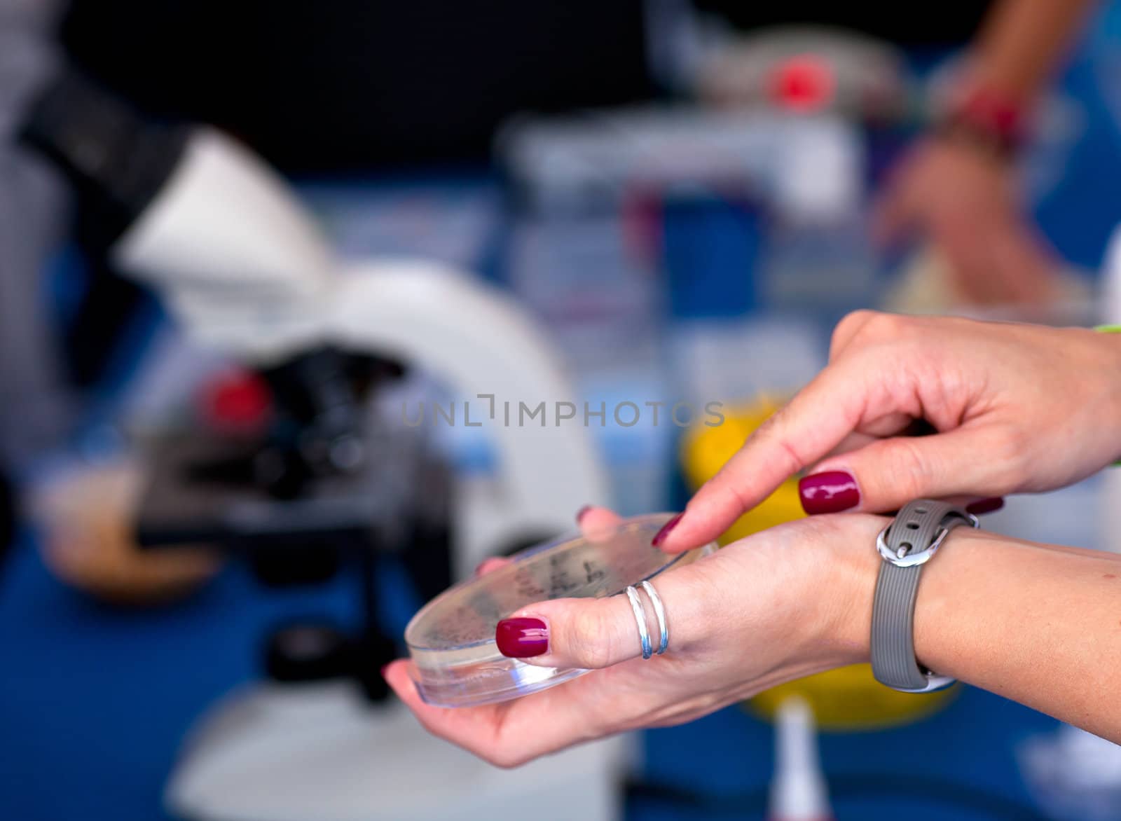 Hand of woman holds petri dish