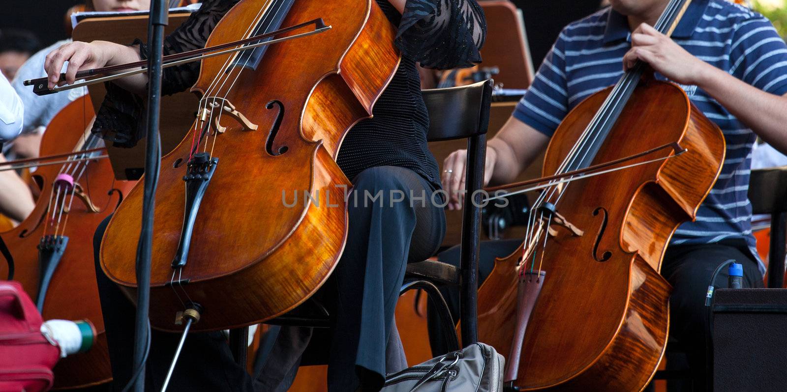 View of the Orchestra in concert - Cello musical instrument