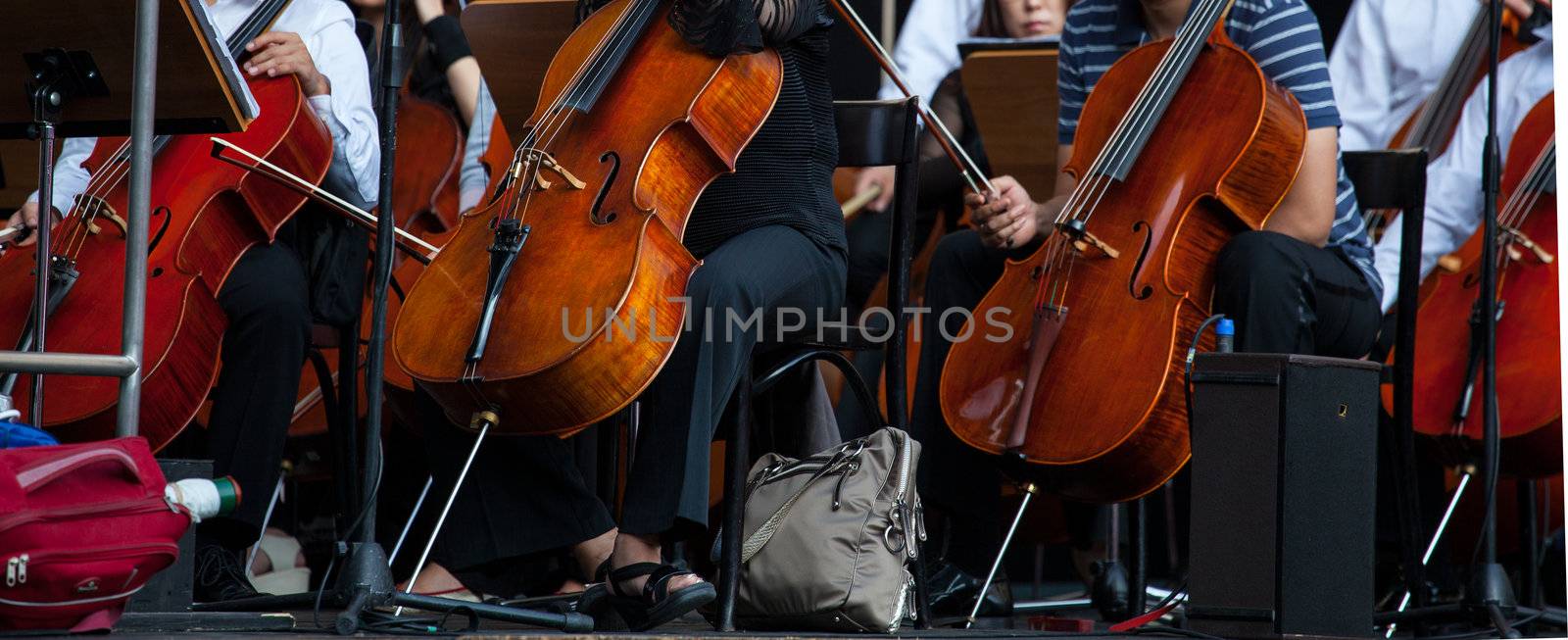 View of the Orchestra in concert - Cello musical instrument