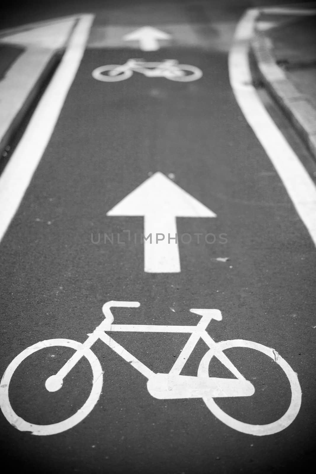 View of bicycle path in Milan, Italy