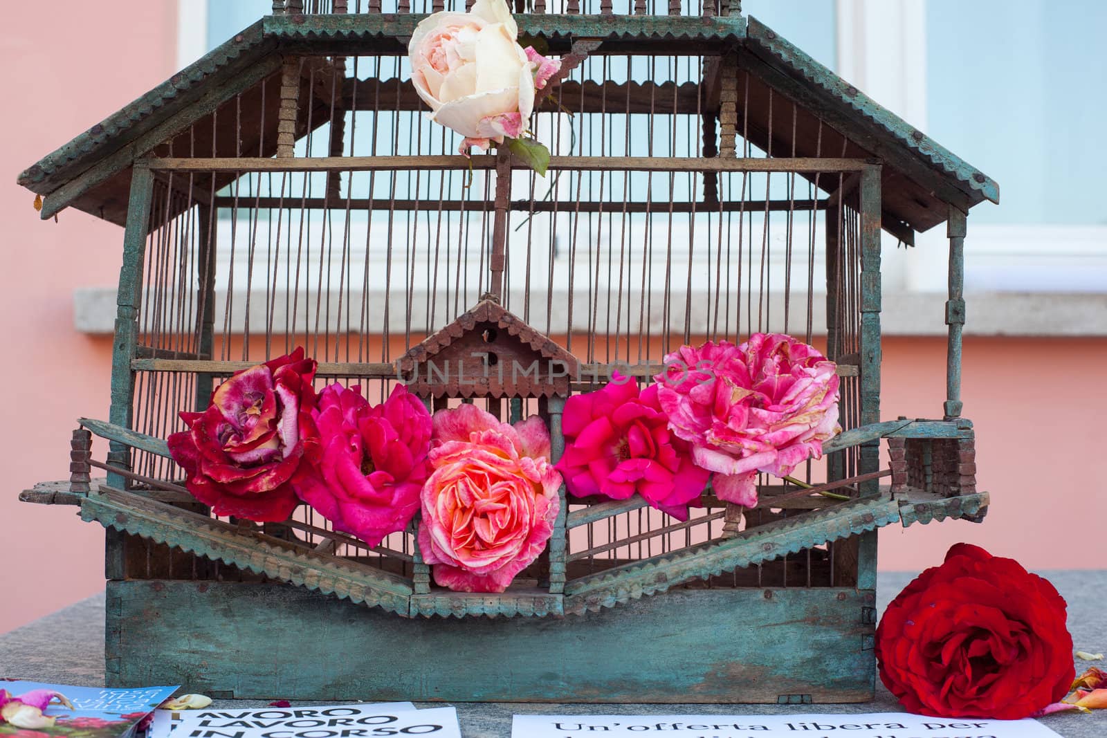 Red Roses inside the old bird cage