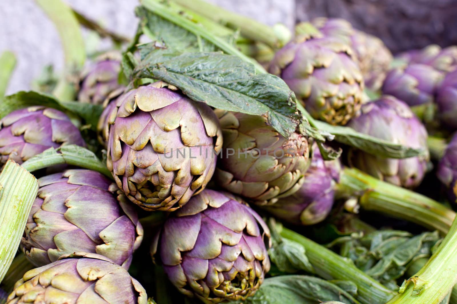 Close up of Fresh green artichokes, farmer's market