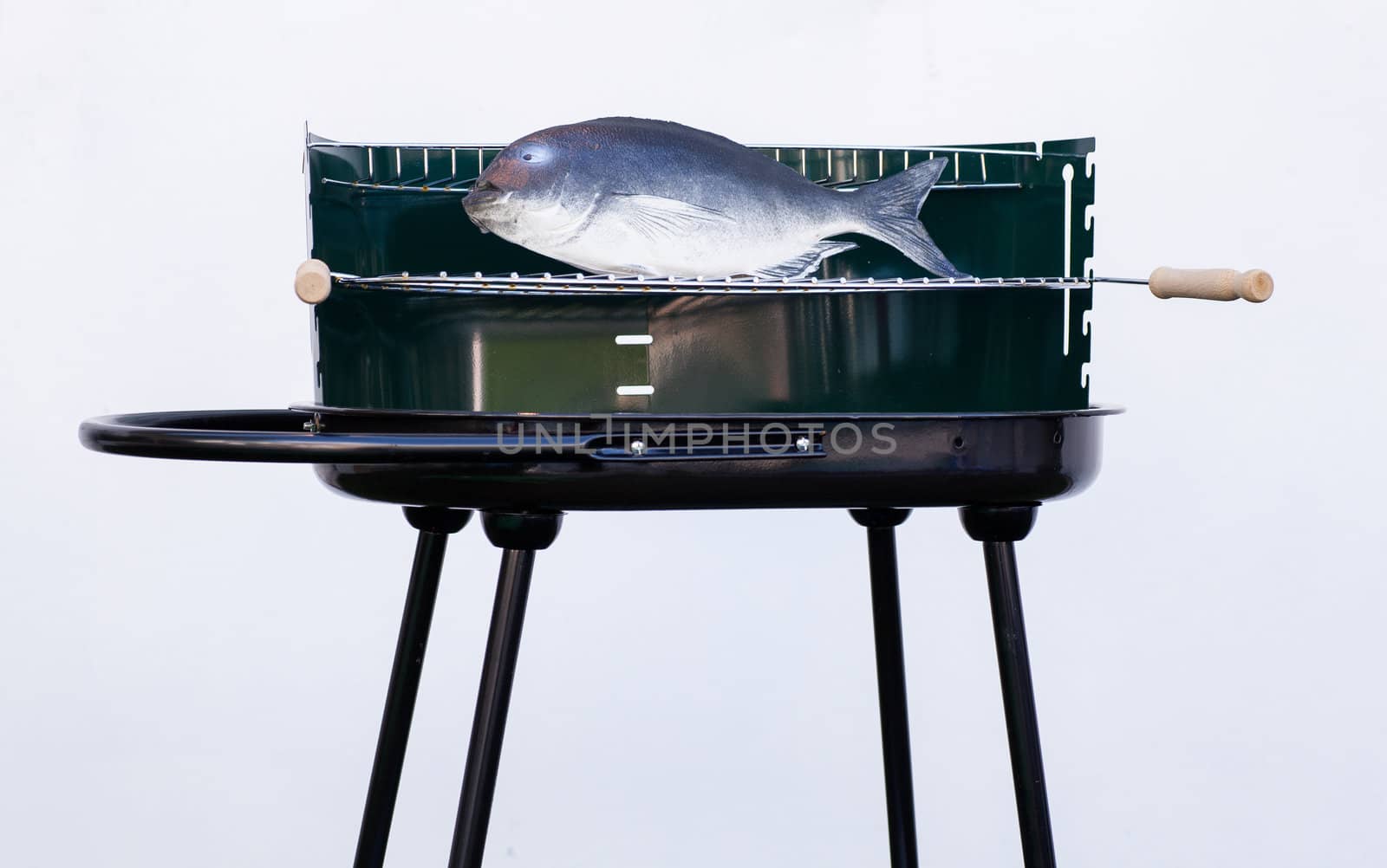 Photo of Fake barbeque with plastic toy fish