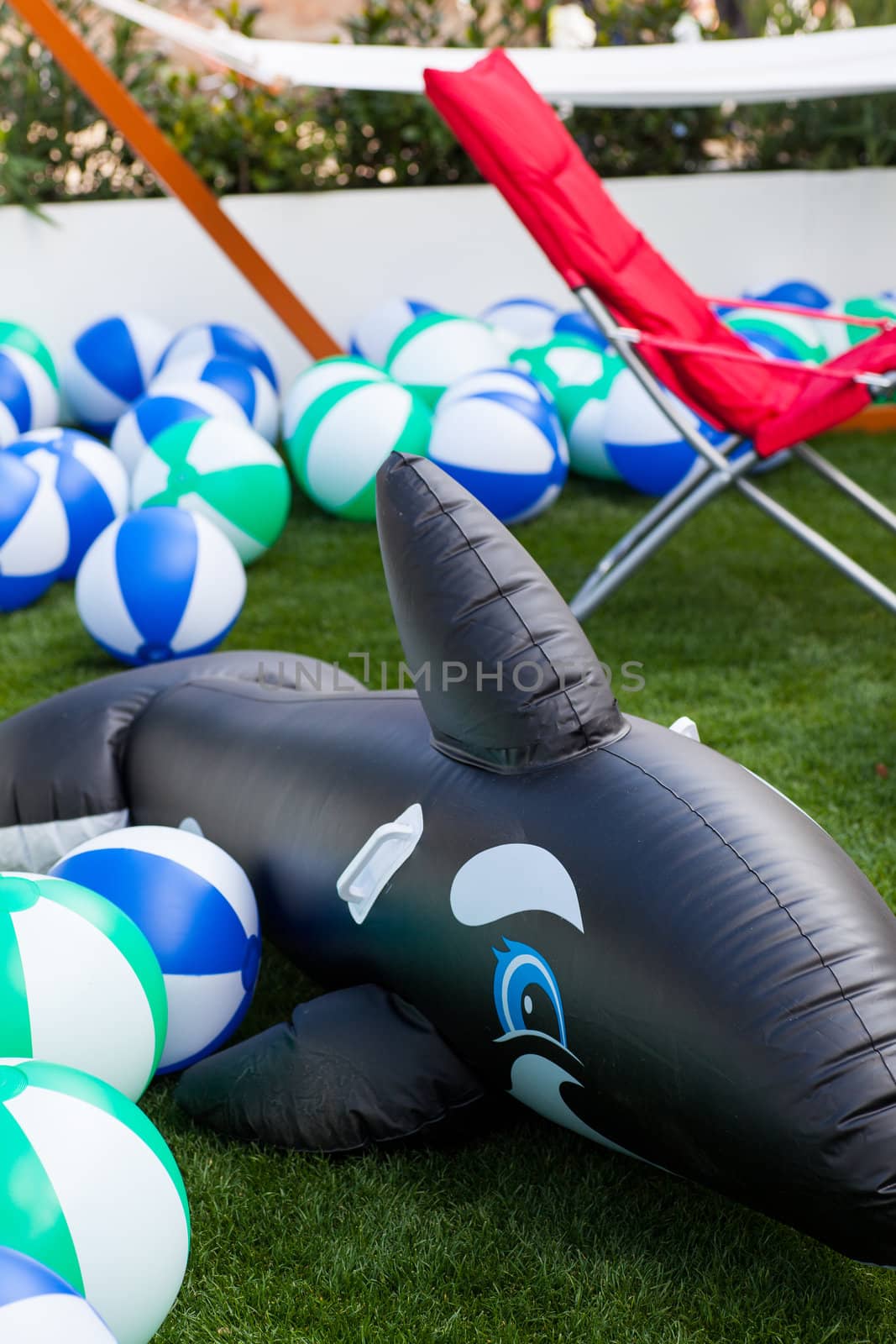 Inflatable toy dolphin and balls in the garden