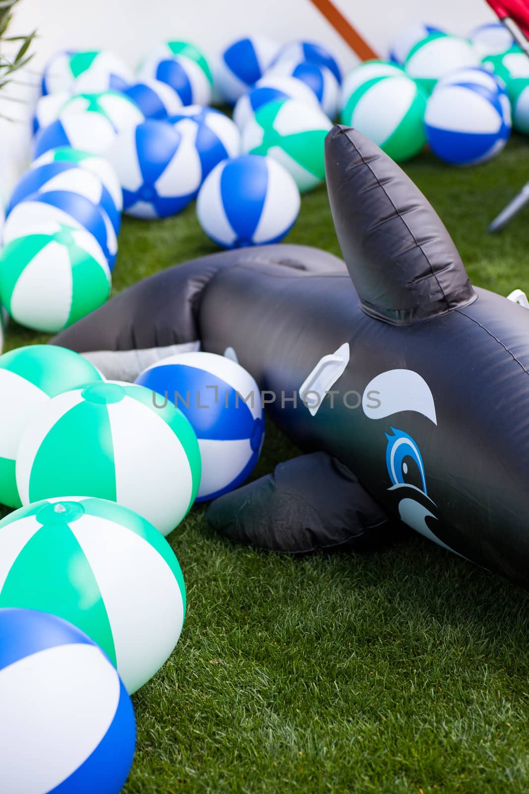 Inflatable toy dolphin and balls in the garden