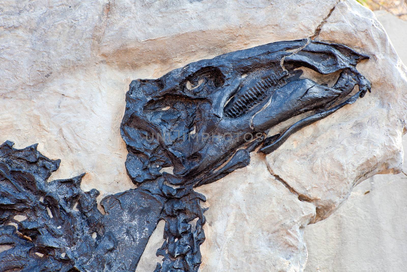 Photo of Dinosauro Antonio, Tethyshadros insularis