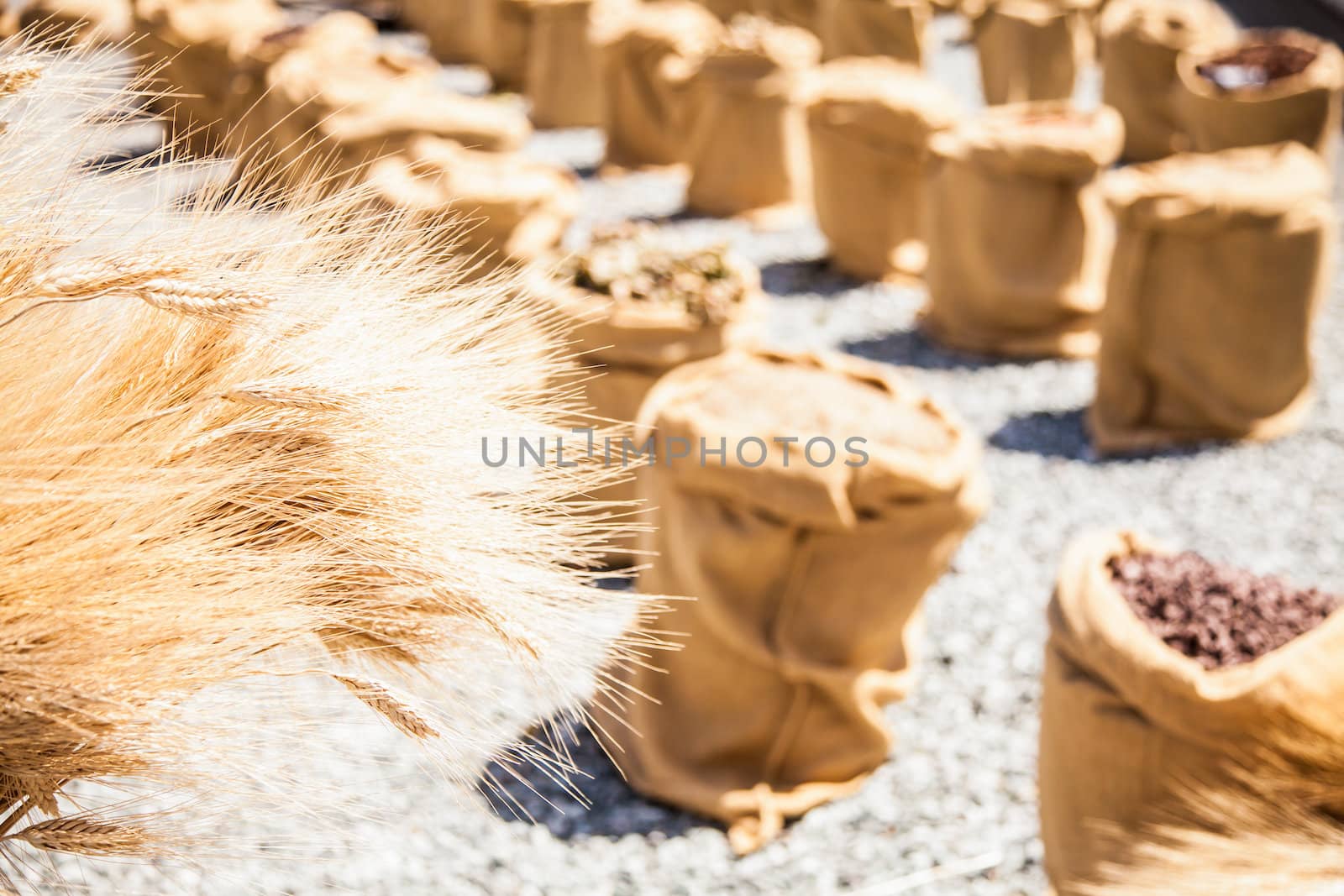 Wheat sacks during a sunny day in a warm  summer season
