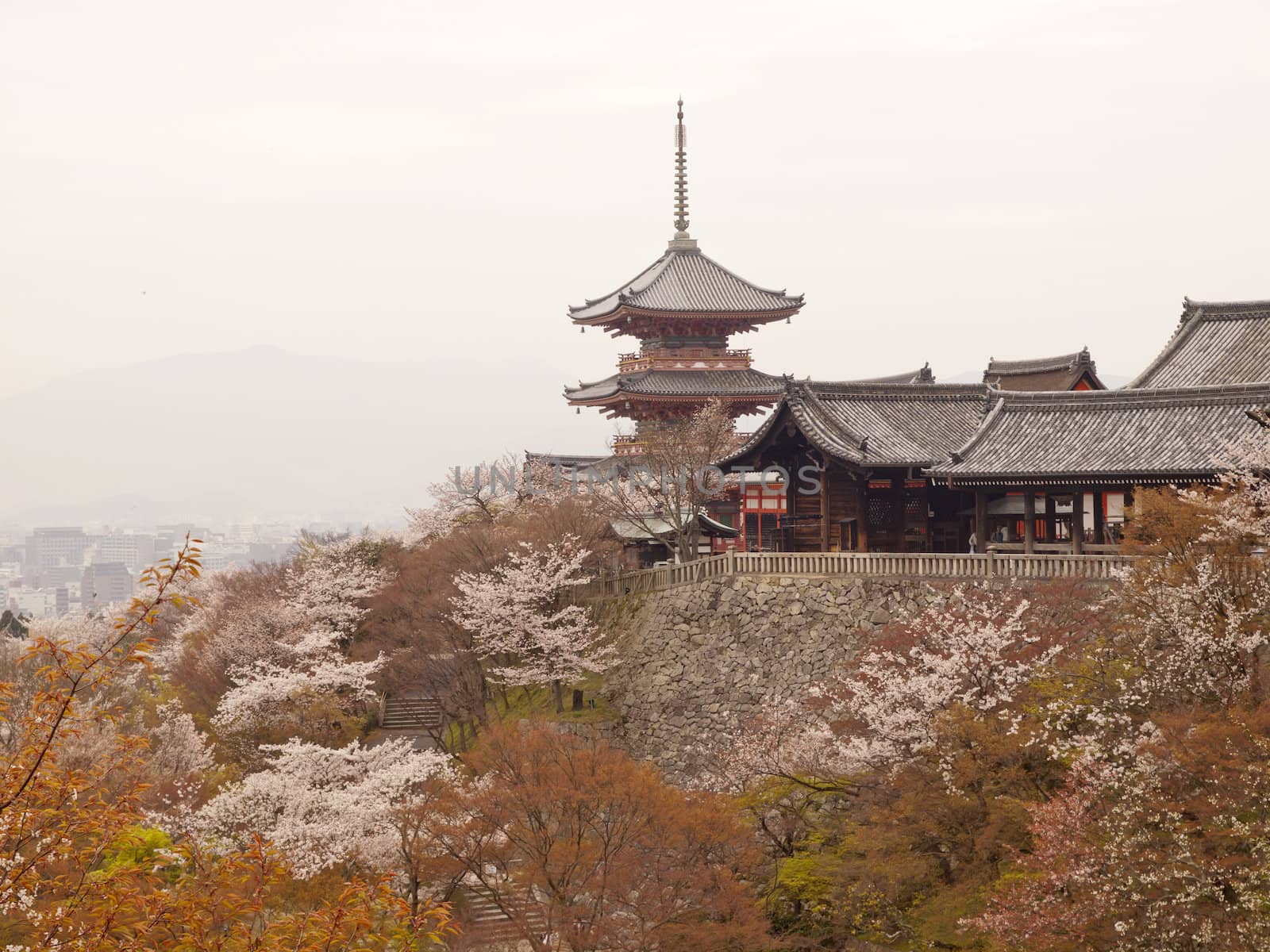A pagoda in Kiyomizudera temple during cherry blossom season in kyoto, Japan