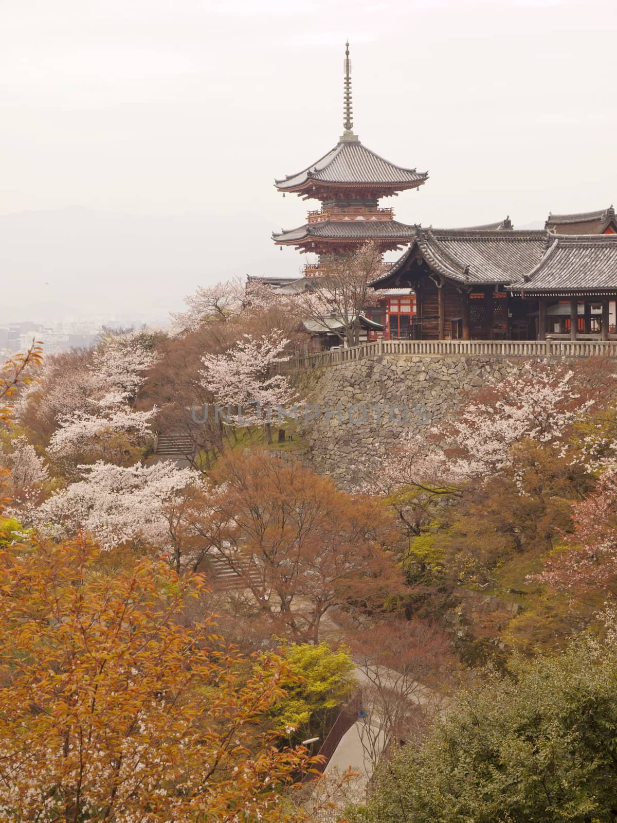 A pagoda in Kiyomizudera temple during cherry blossom season in kyoto, Japan