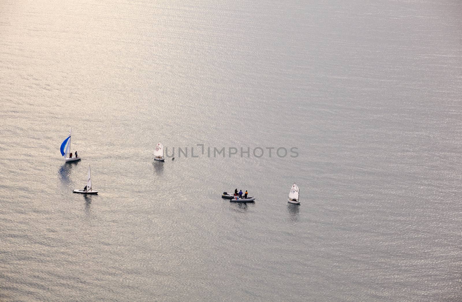 A lot of sailboats on the Trieste sea