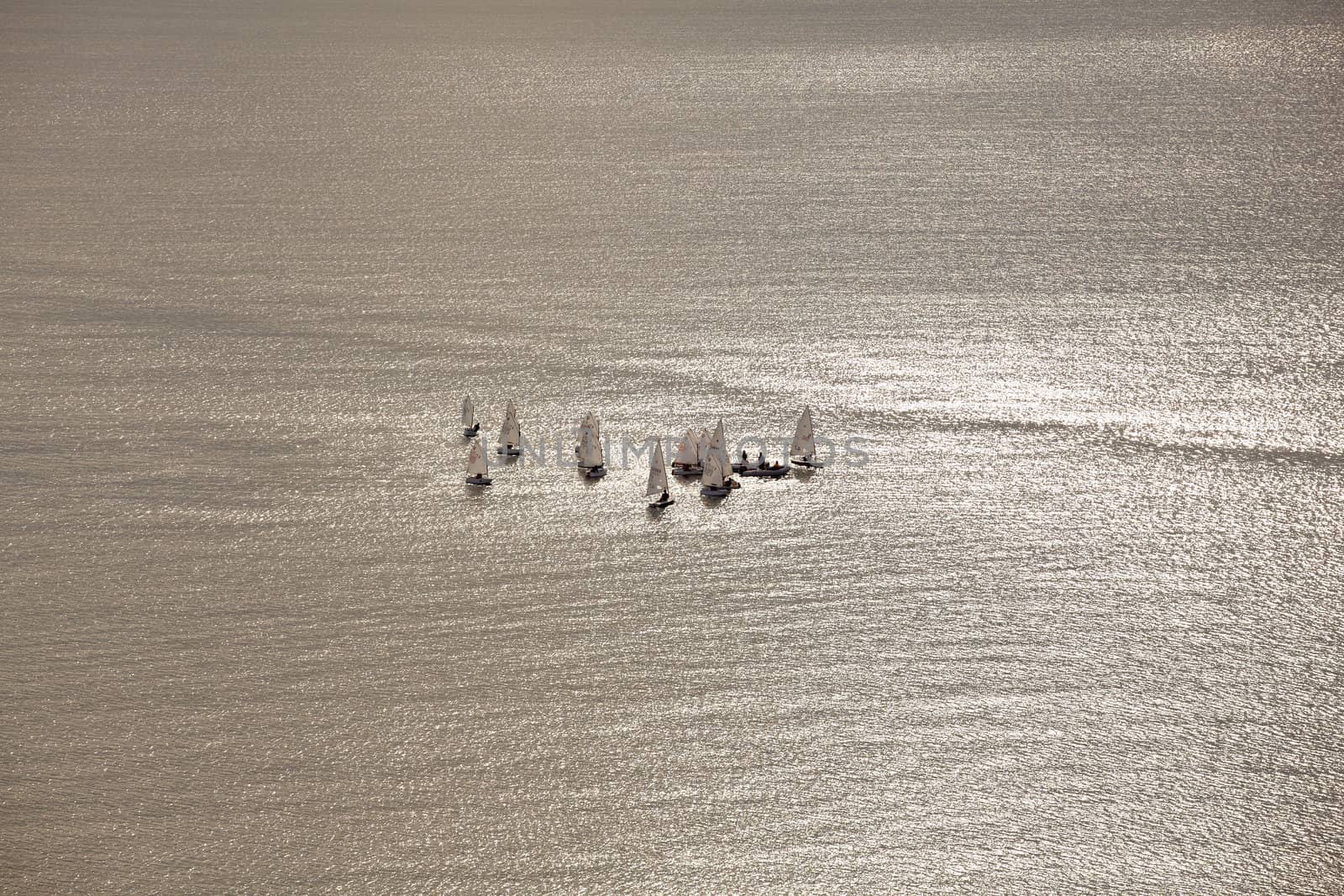 A lot of sailboats on the Trieste sea