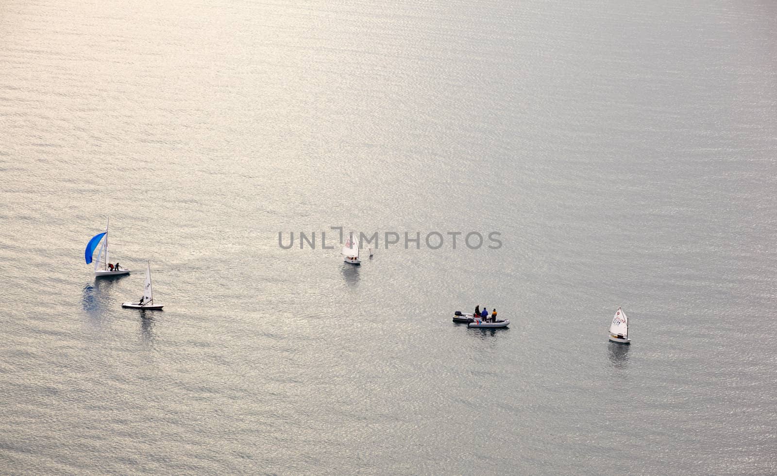 A lot of sailboats on the Trieste sea