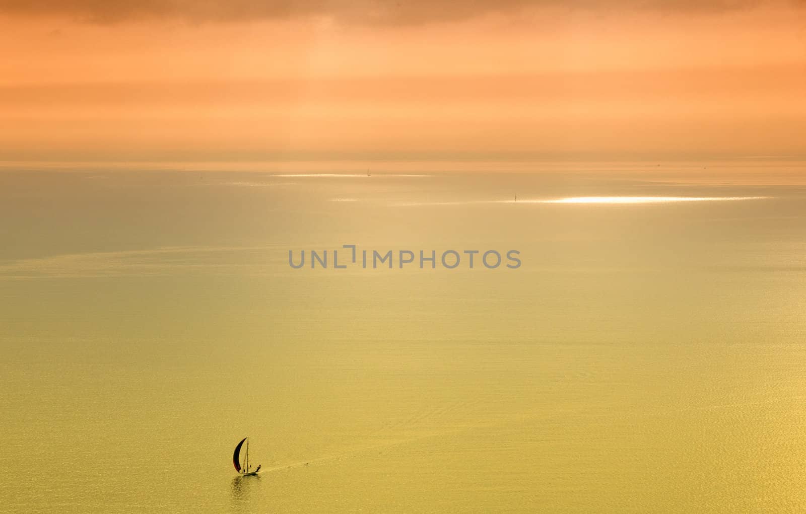 A lot of sailboats on the Trieste sea