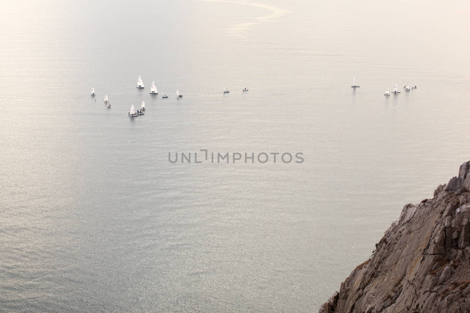 A lot of sailboats on the Trieste sea