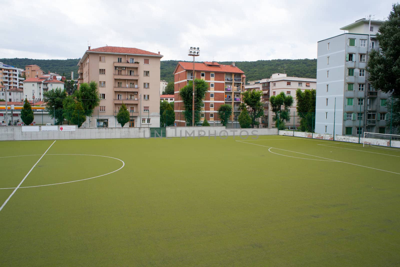 Green grass of a Soccer field