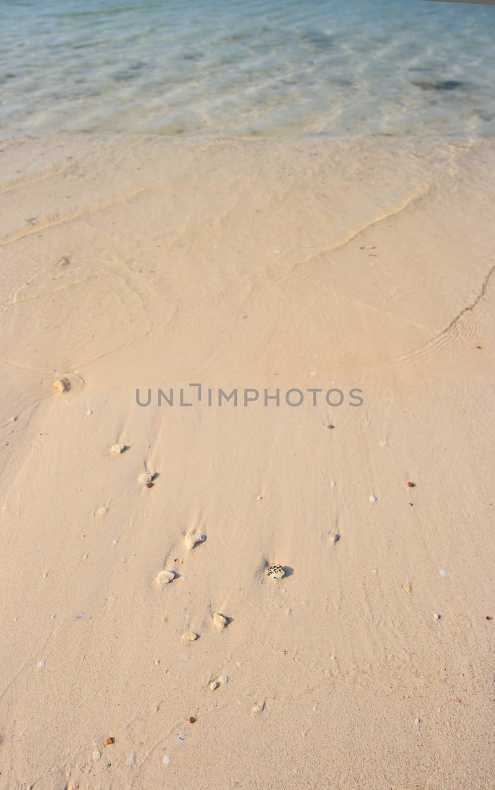 sand beach background