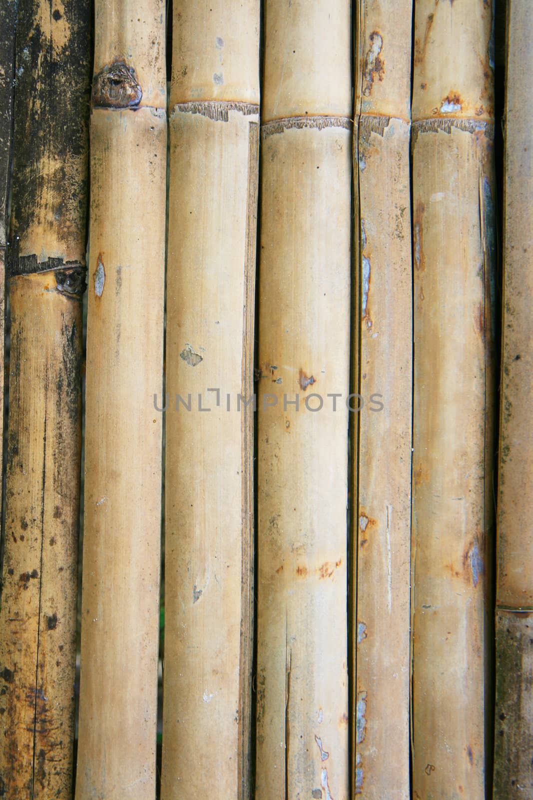 Old bamboo wall ,texture&background