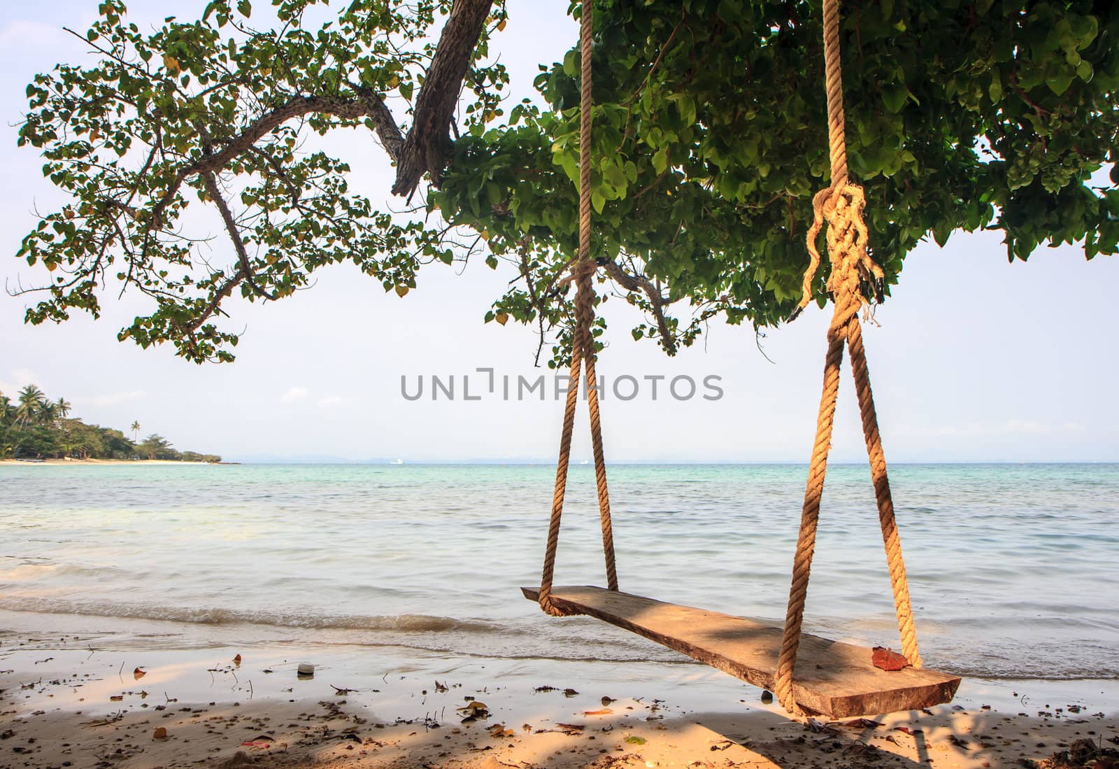 Swing on the beach,Relax time