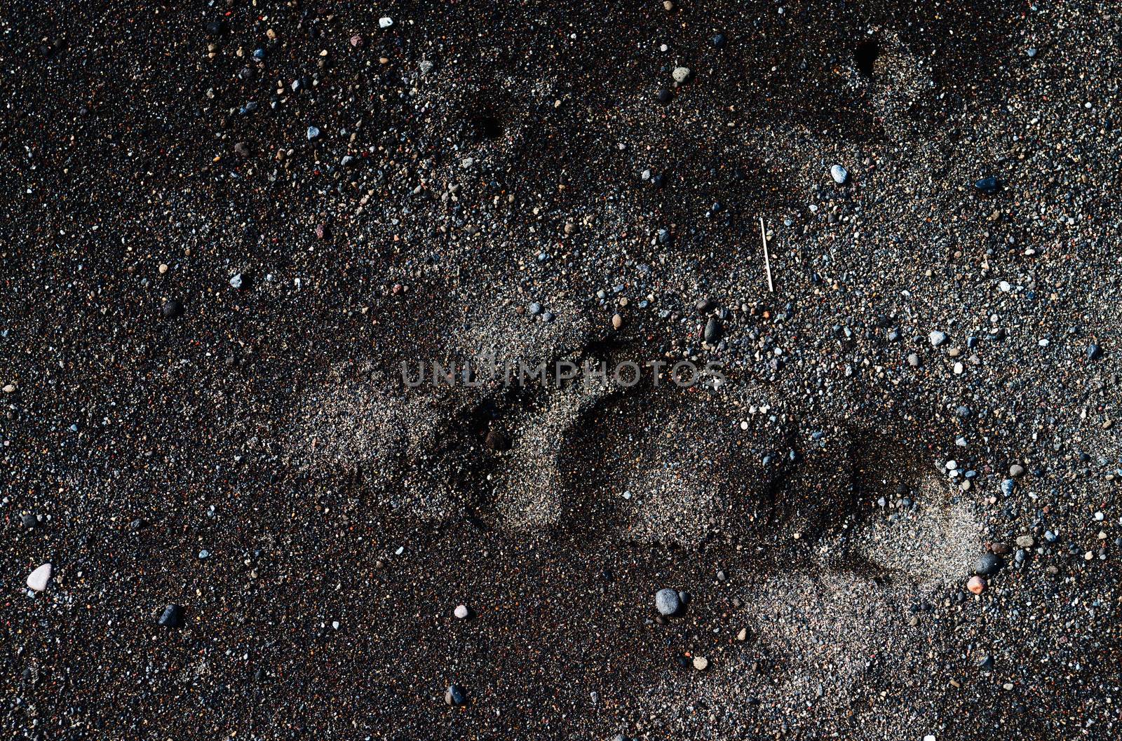 Footprint on black sand volcanic beach by iryna_rasko