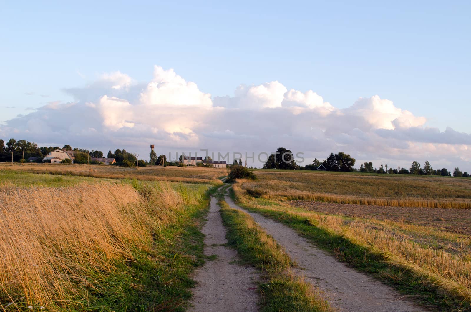 rural gravel road between agriculture fields and farm buildings and clouds in sky.