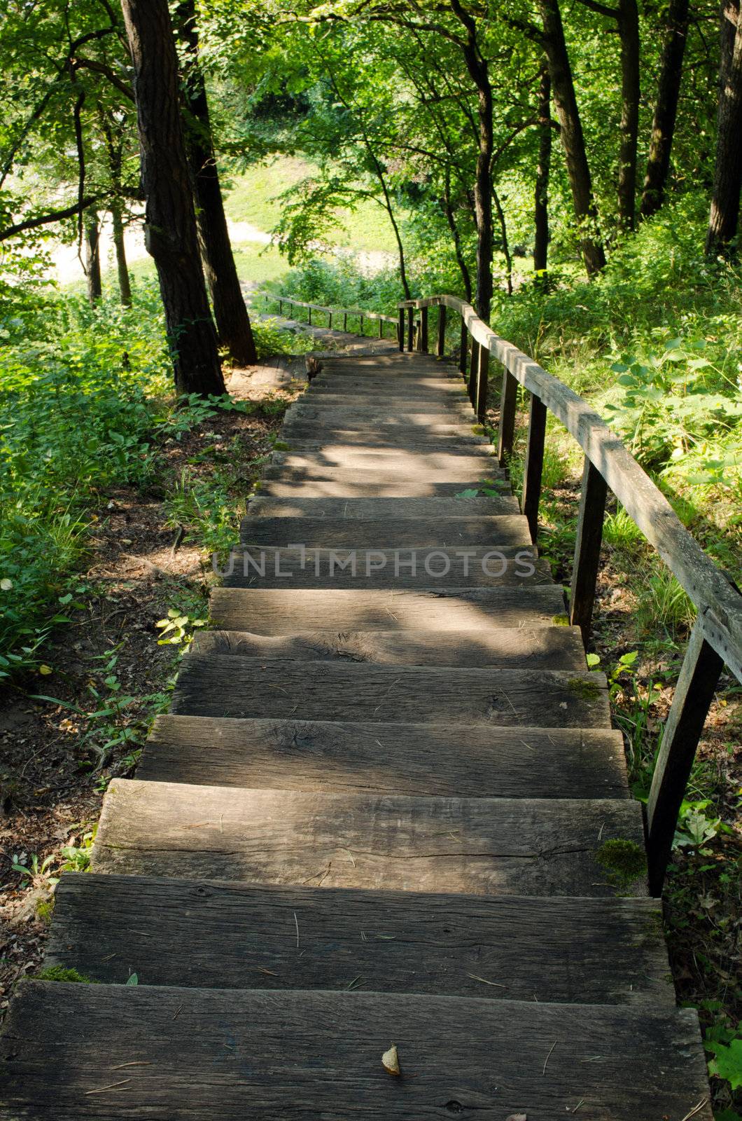 old wooden stairs in forest by sauletas