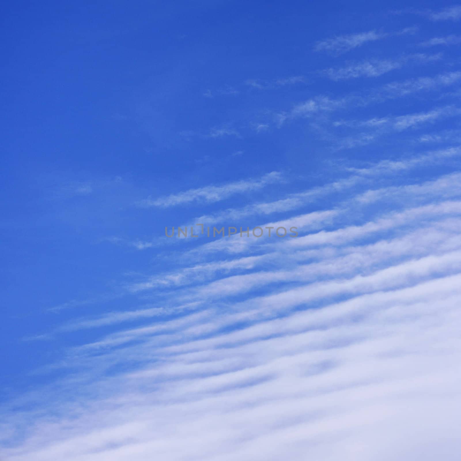 Blue sky with a white clouds