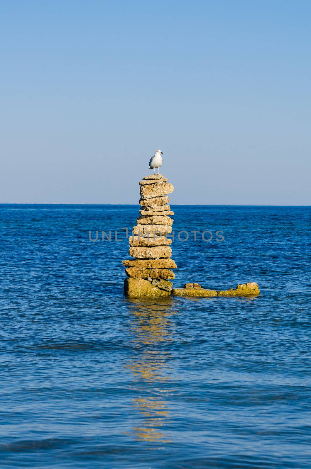 one white seagull stending on steady stones in a sea. Blue sky and water background