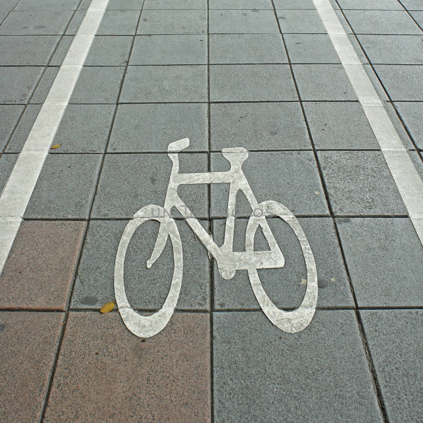 Bike lane symbol on road