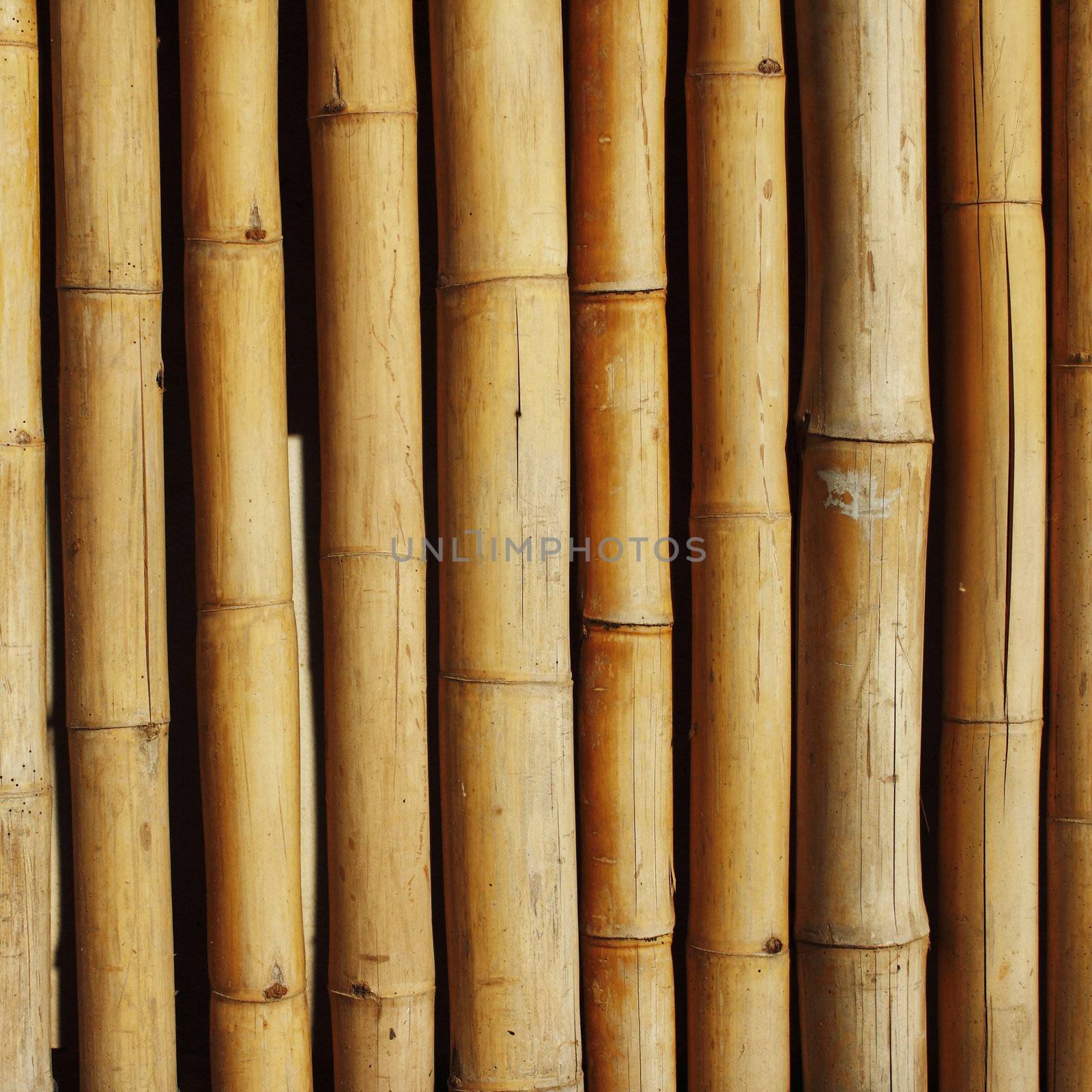 Bamboo background by liewluck