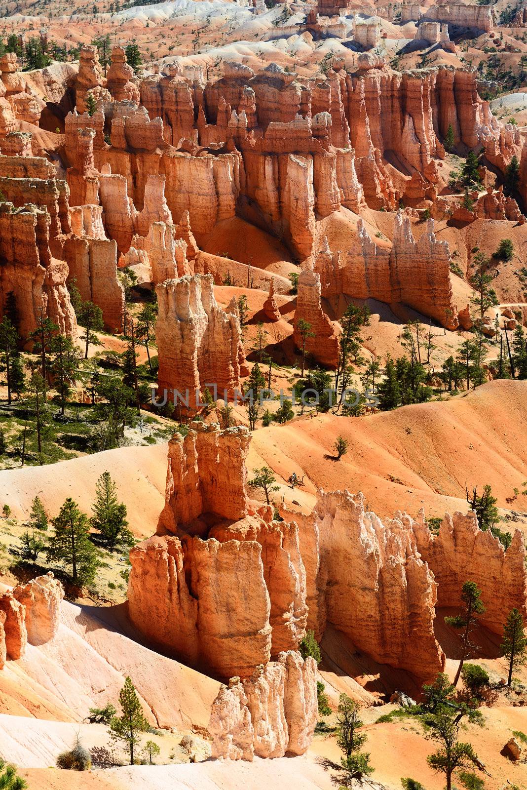 Bryce canyon by ventdusud