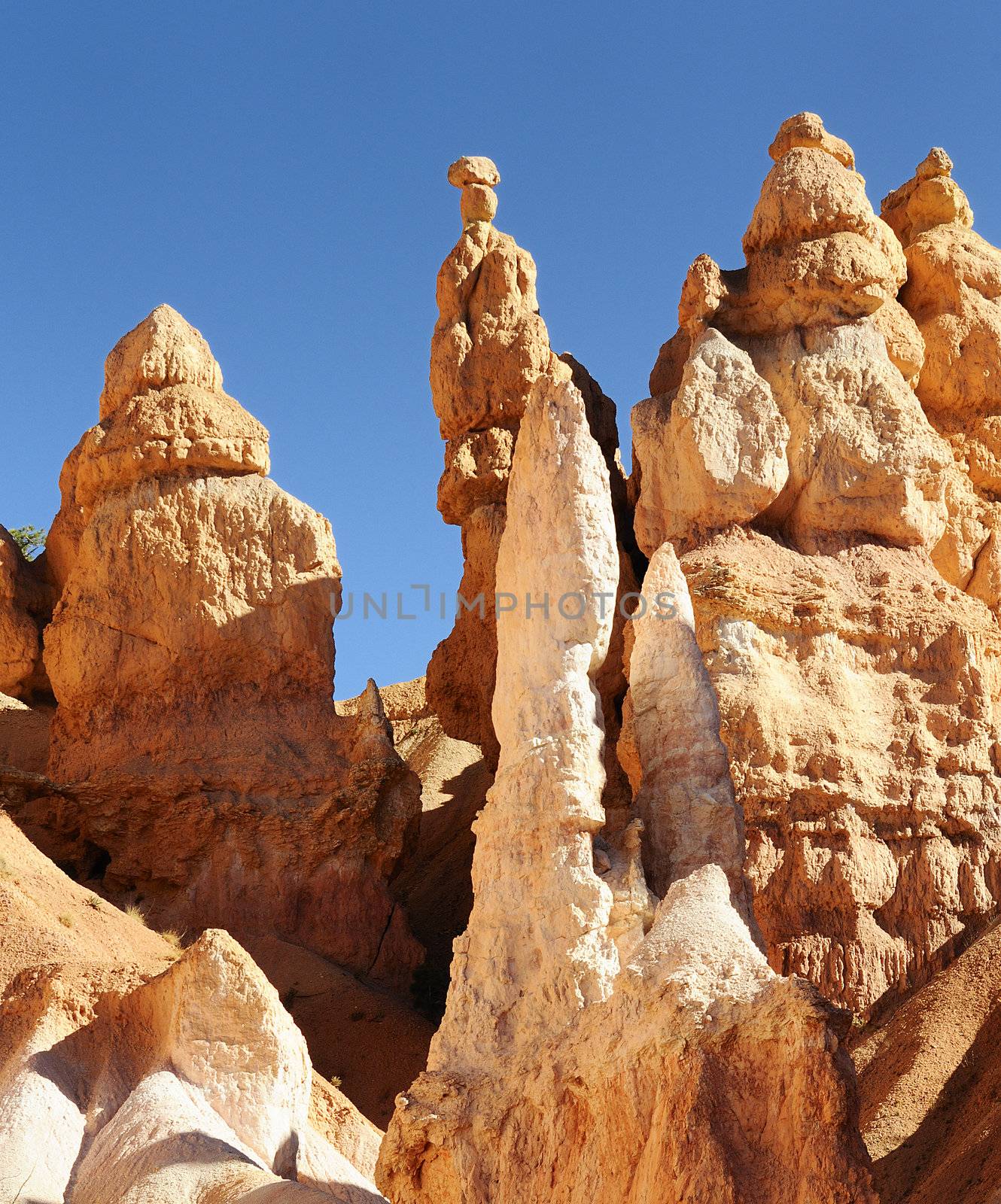 spectacular Hoodoo rock spires of Bryce Canyon, Utah, USA