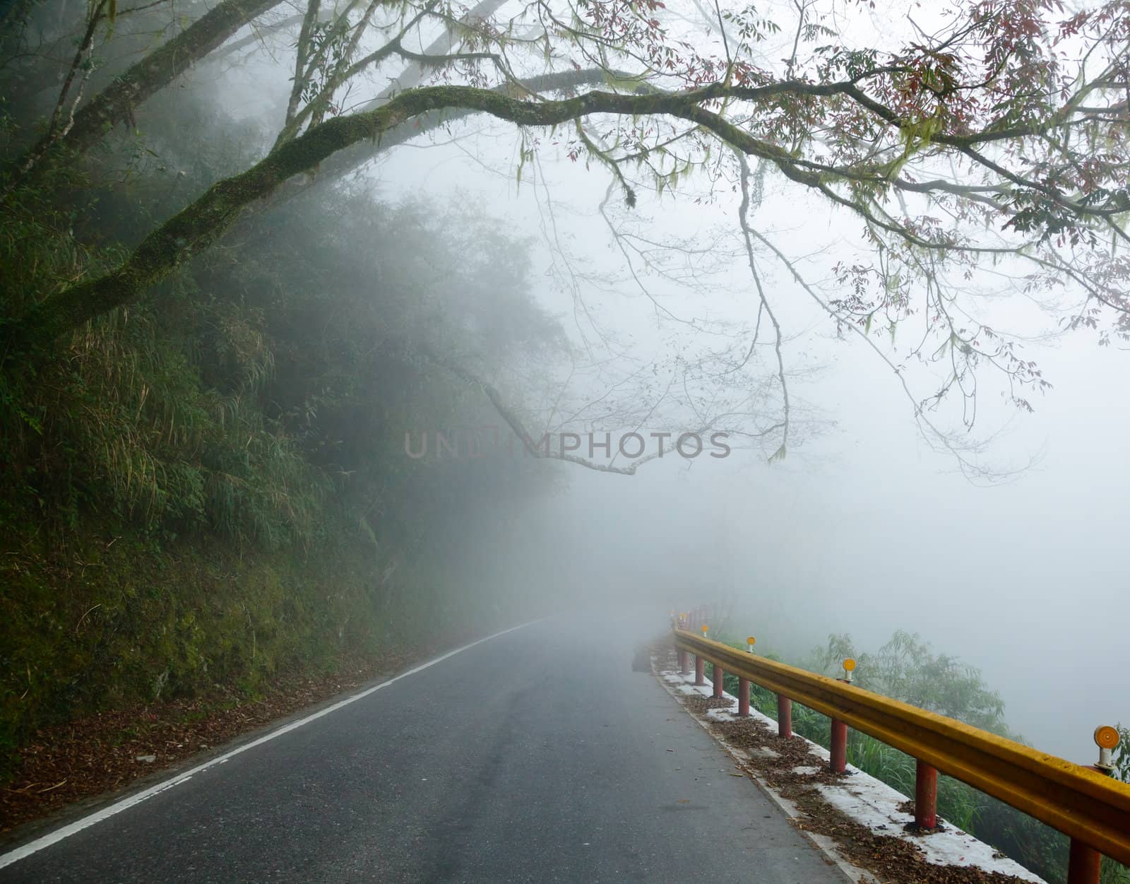 Misty road by naumoid