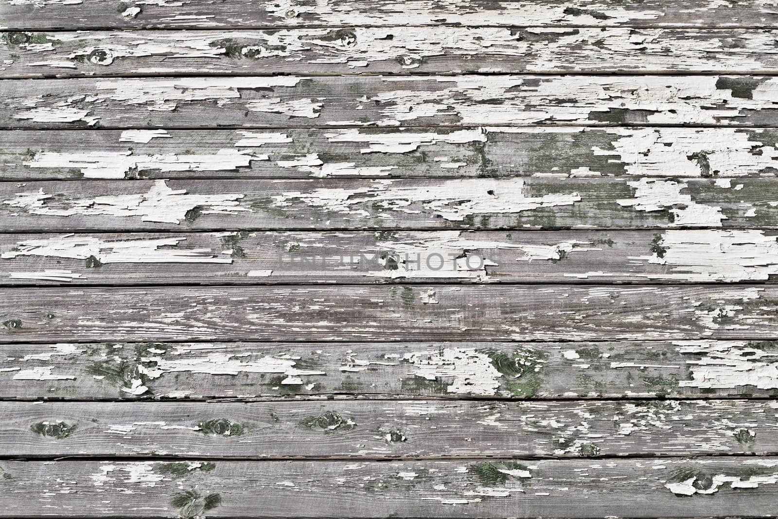 Old wooden wall with peeling white paint