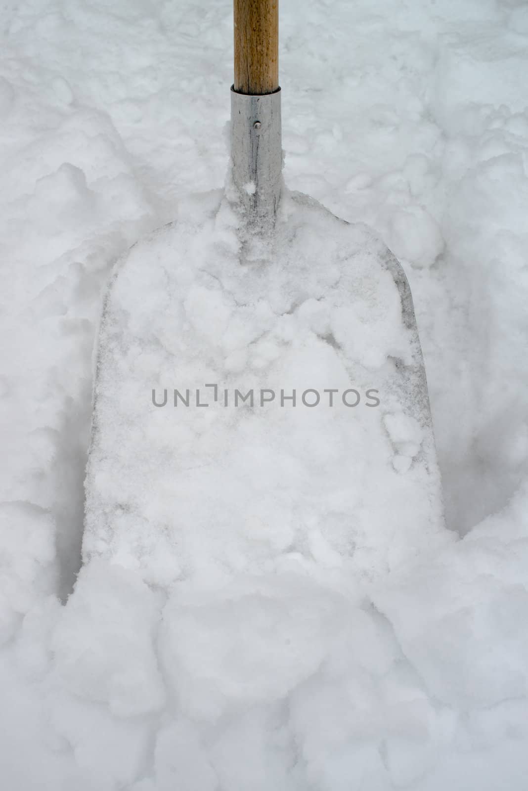 Snow shovel in a deep snow, winter is here