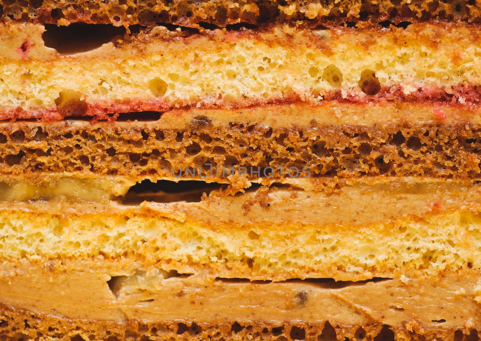 sweet dessert. cross-section texture of pieces cake. food backgrounds