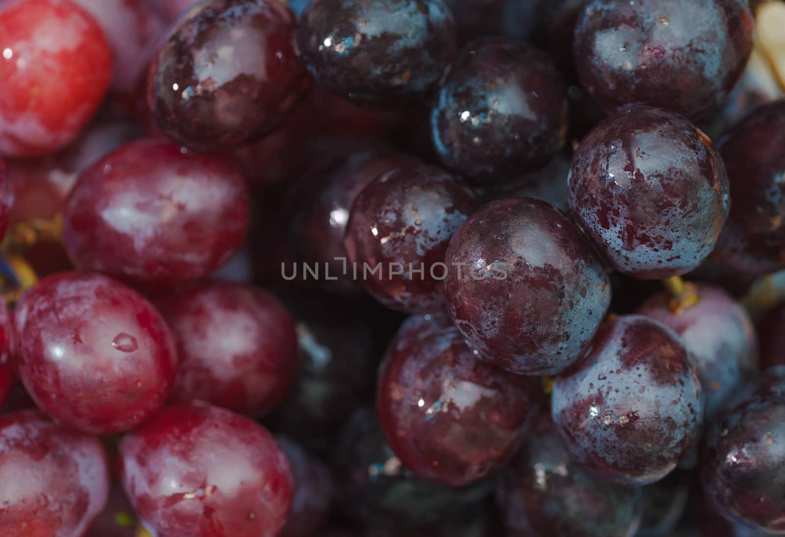 many ripe red grapes. Macro photo by docer2000