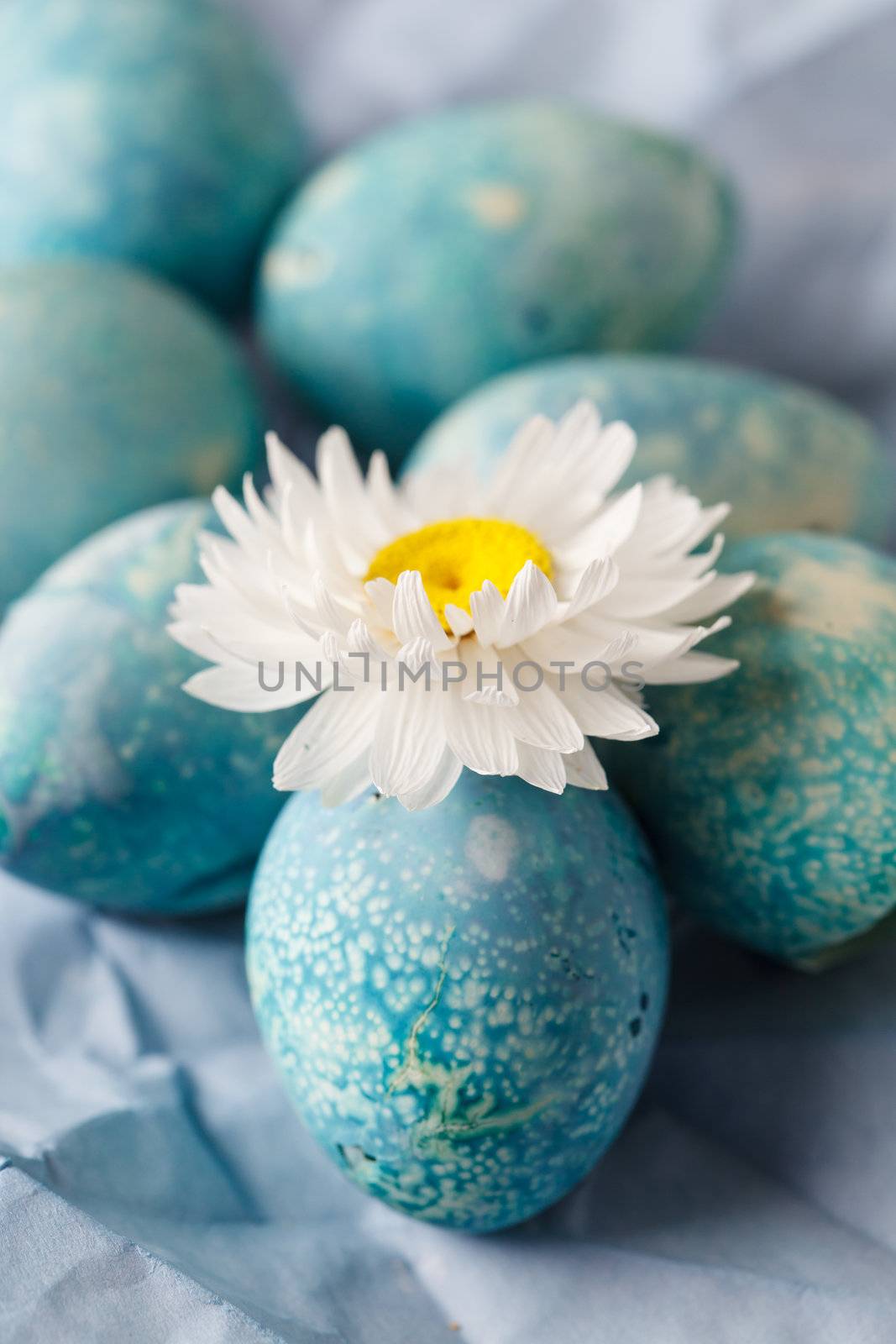 Blue Easter Eggs by shebeko