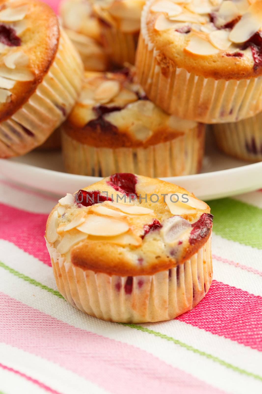 muffins with almond and blueberries by shebeko