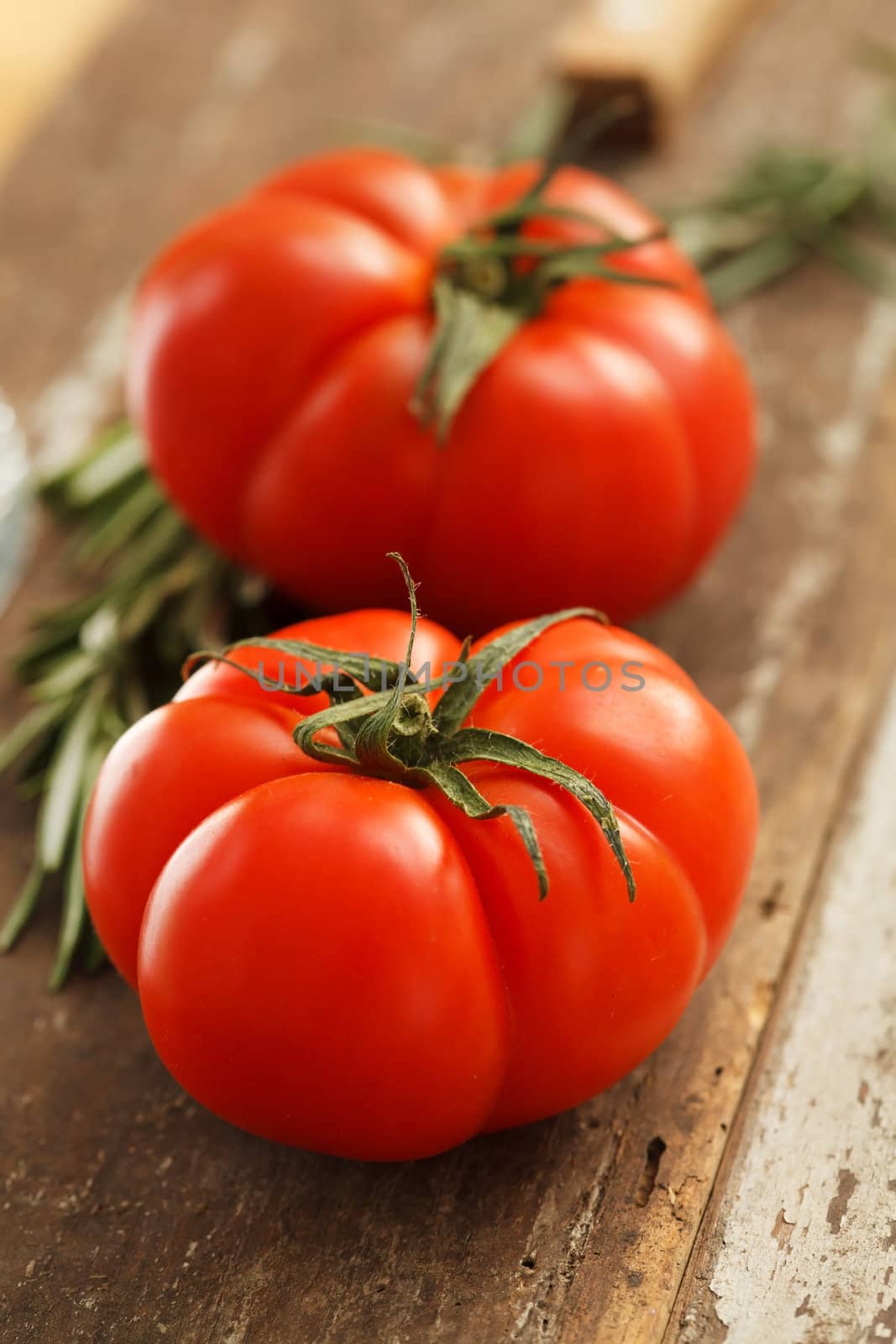 fresh tomatoes by shebeko