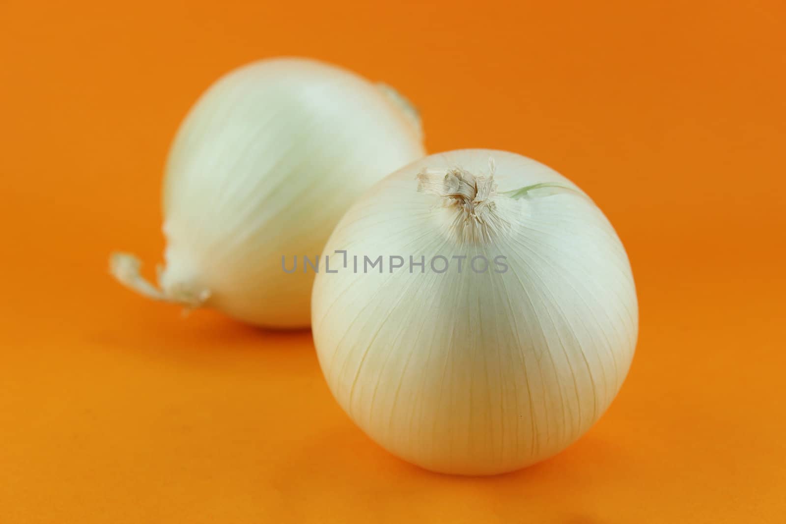 Ripe white onions on orange background.