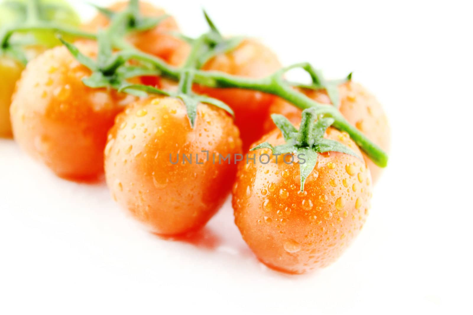 fresh cherry tomatoes with water drops and green leaves on white background