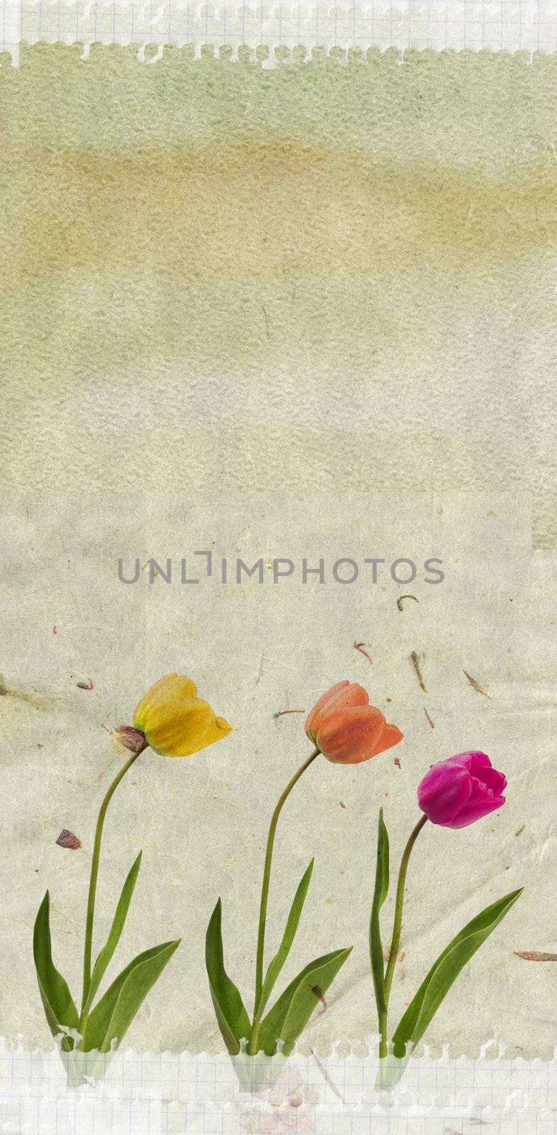 grunge paper background by rudchenko