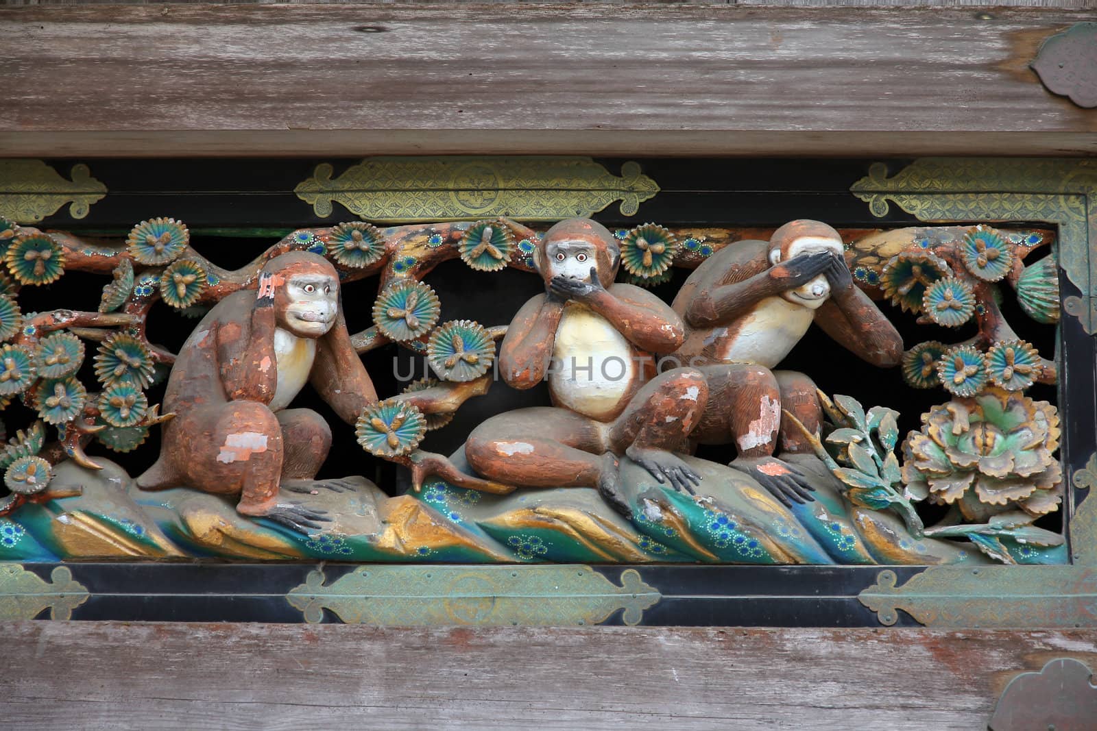 Three Wise Monkeys by tupungato