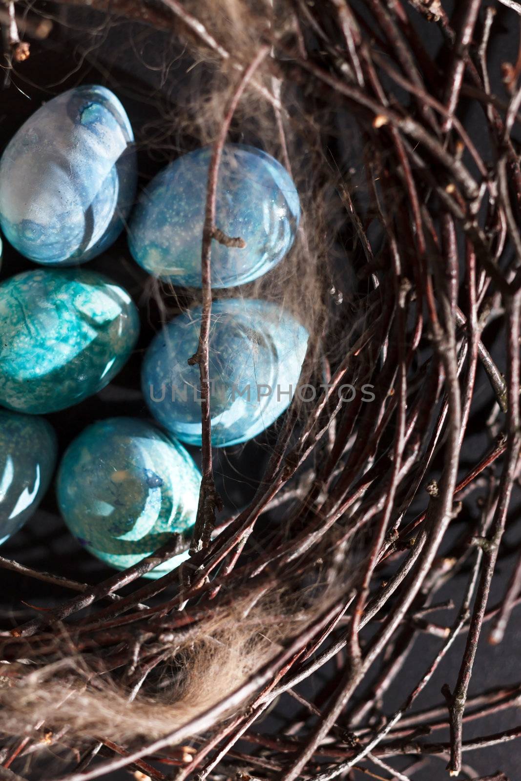 blue eggs in the nest by shebeko