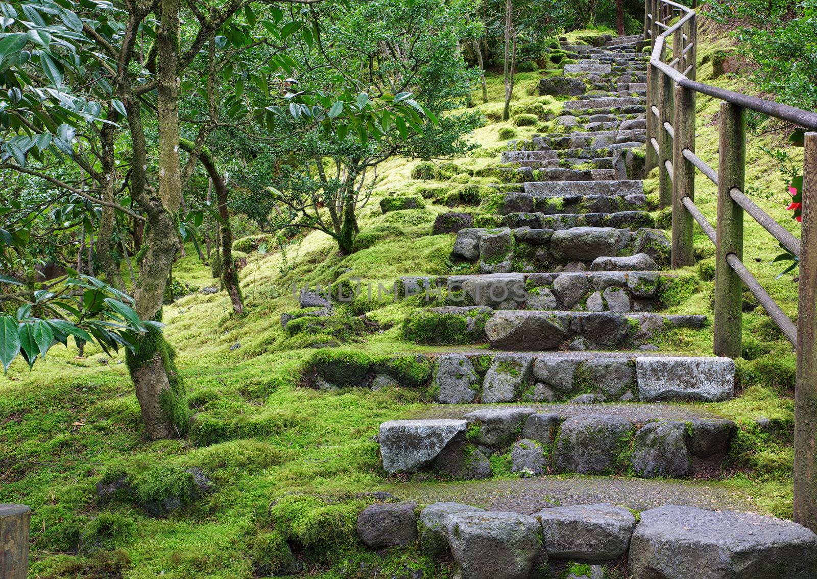 Asian Garden Stone staircase with wood railing and surrounding green grass and trees