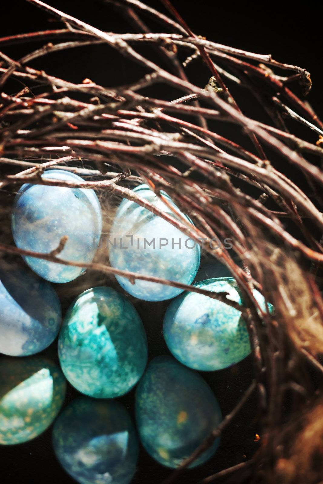 blue eggs in the nest by shebeko