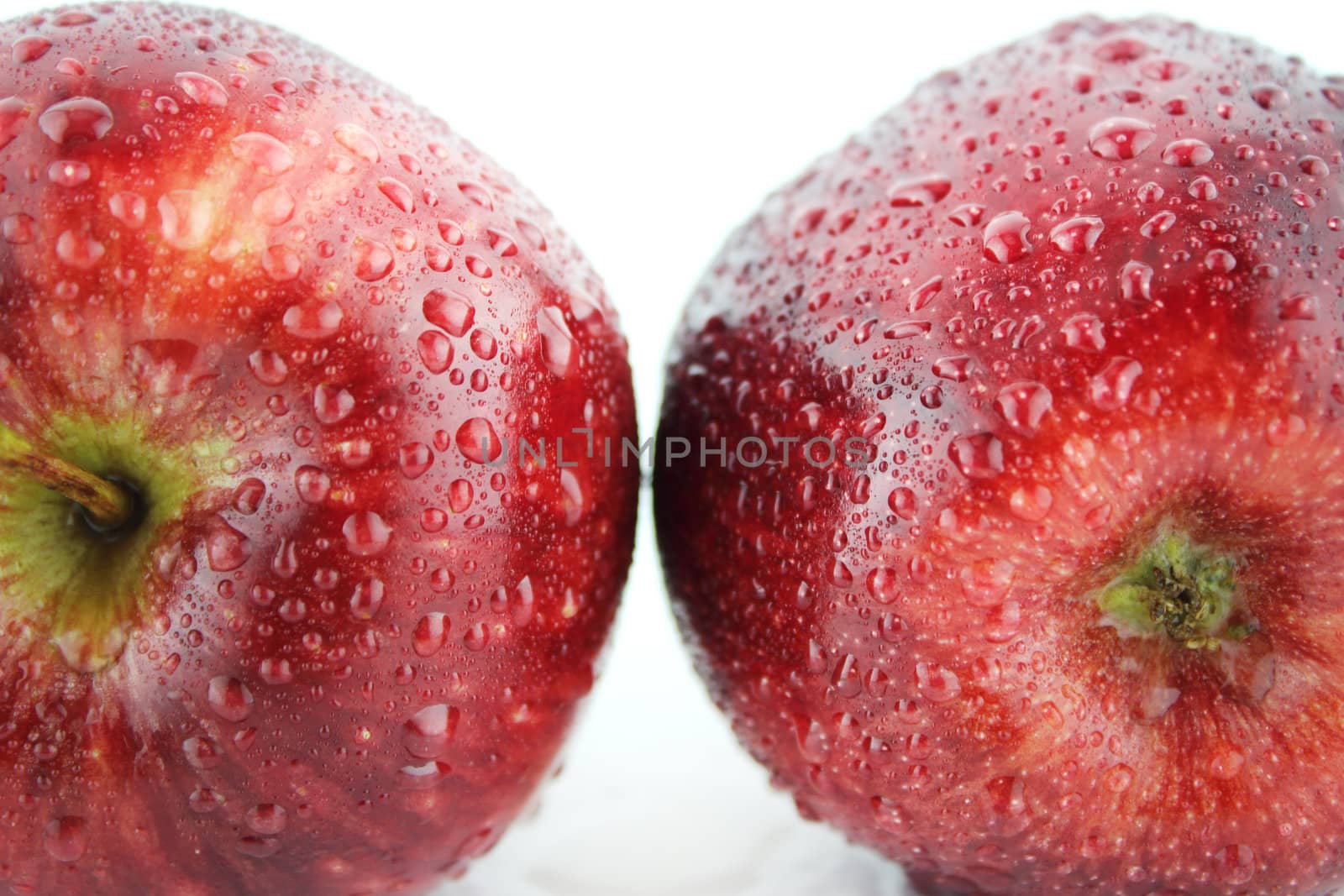 Fresh red apple with water drops on white background .